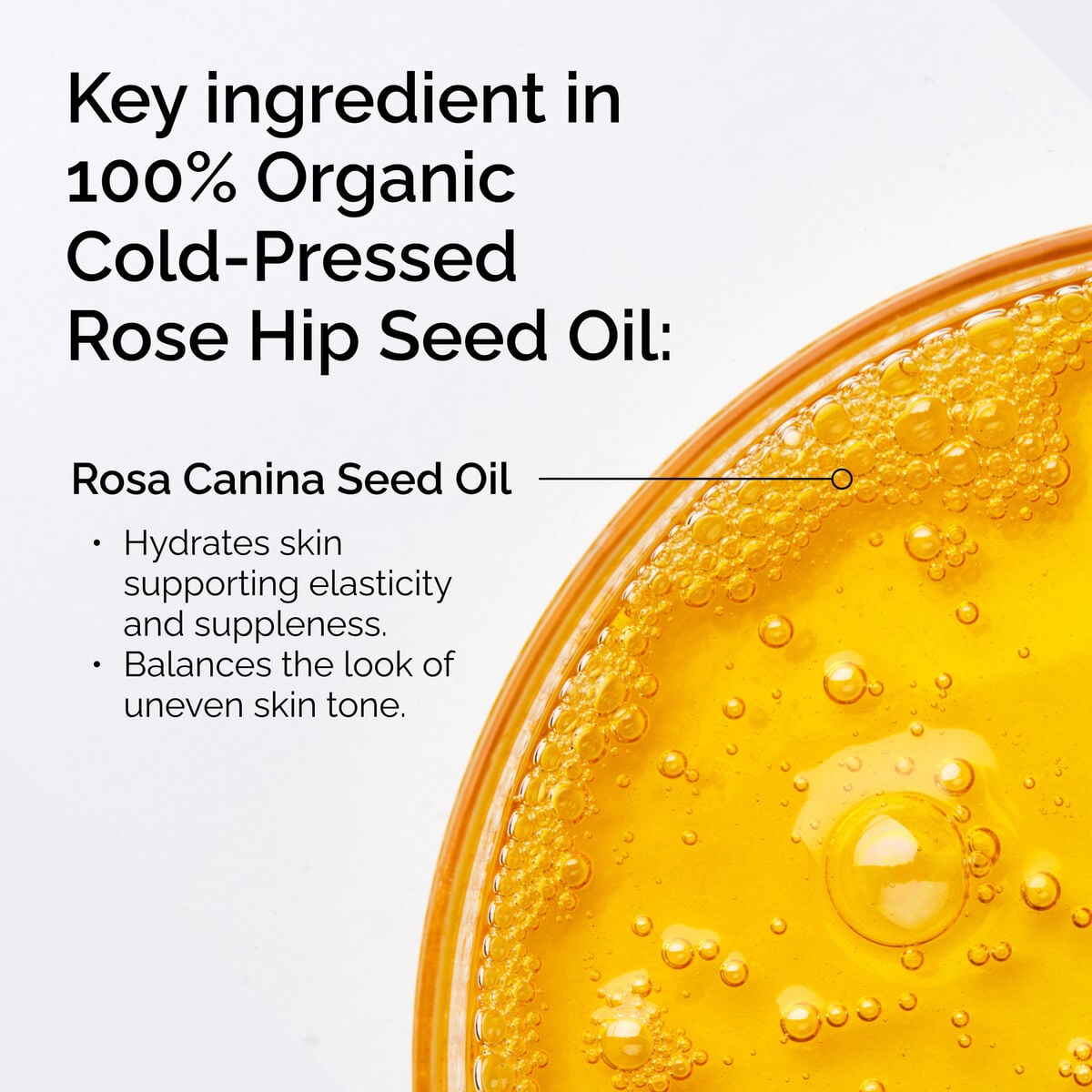 100-organic-cold-pressed-rose-hip-seed-oil-s0 FY25-D41247-ORD-Web-PDP-100-Rose-Hip-Oil-1x1-EN-2.jpg