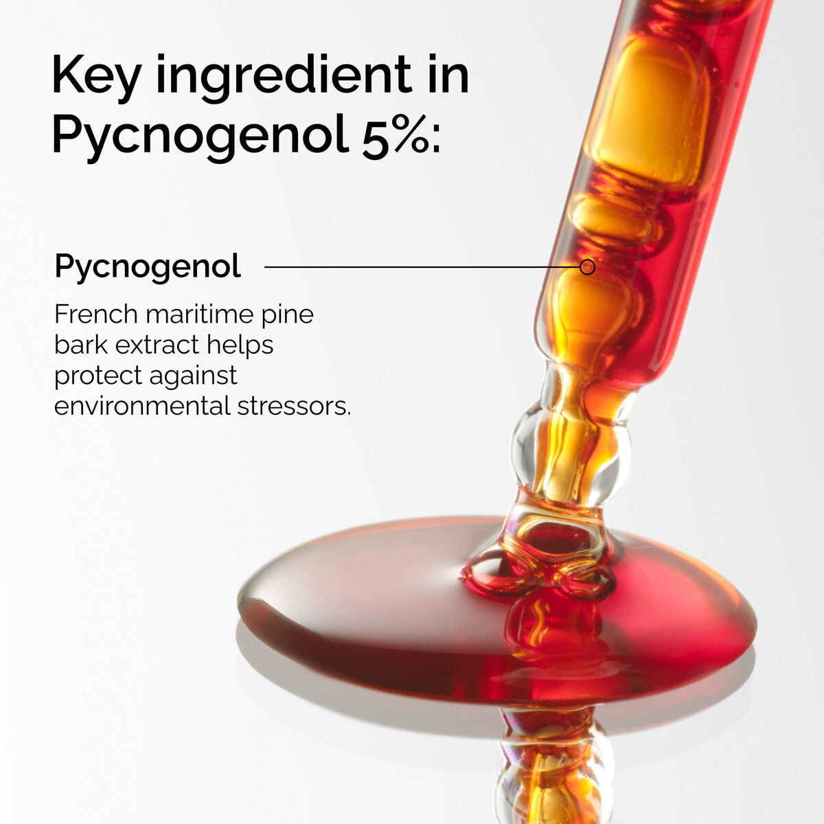 pycnogenol-5-i1 FY25-D41247-ORD-Web-PDP-Pyc-5pct-1x1-EN-2a.jpg