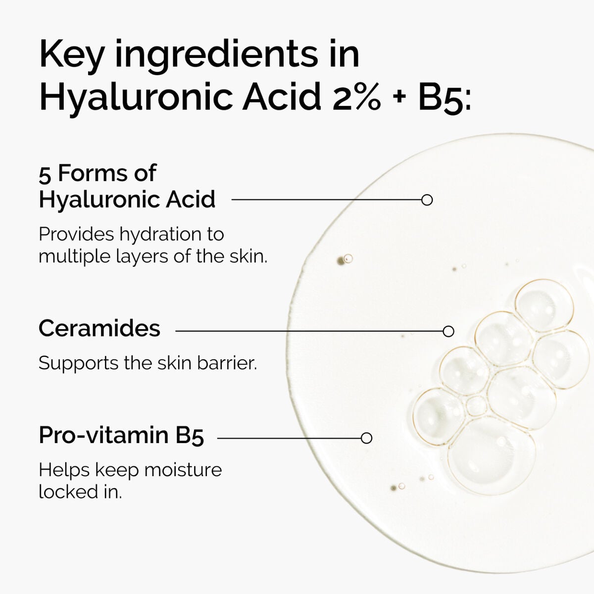 hyaluronic-acid-2-b5-with-ceramides-f9 ord-hyaluronic-acid-2pct-b5-hydrating-serum-ingredients-graphic.jpg
