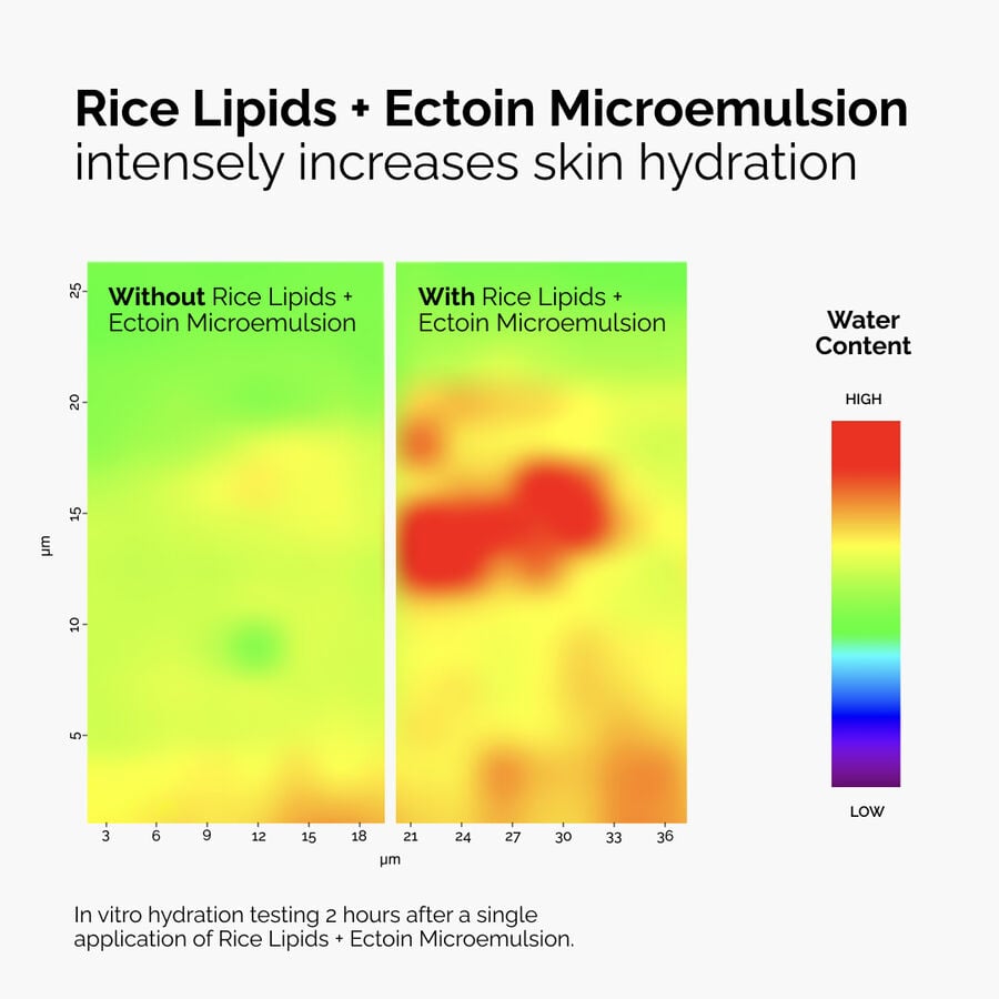 rice-lipids-ectoin-microemulsion-g4 ord-rice-lipids-ectoin-microemulsion-thermal-before-after.jpg
